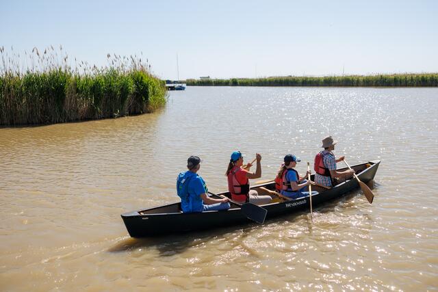 Kanufahrt in der Ruster Bucht | Foto: Burgenland Tourismus/Maria Hollunder