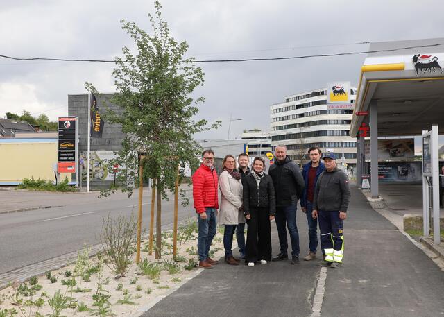 Freuen sich über die Fertigstellung: Stadtrat Werner Stöberl, Amtsleiterin Silvia Schmid (Amt für Stadt- und Verkehrsplanung), Dominik Kormesser (Abteilung für Straßen- und Wasserbau), Patricia Denk (Amt für Stadt- und Verkehrsplanung), Bürgermeister Peter Molnar sowie Dominik Dingl und Rudolf Florreither von der Firma Porr. | Foto: Stadt Krems