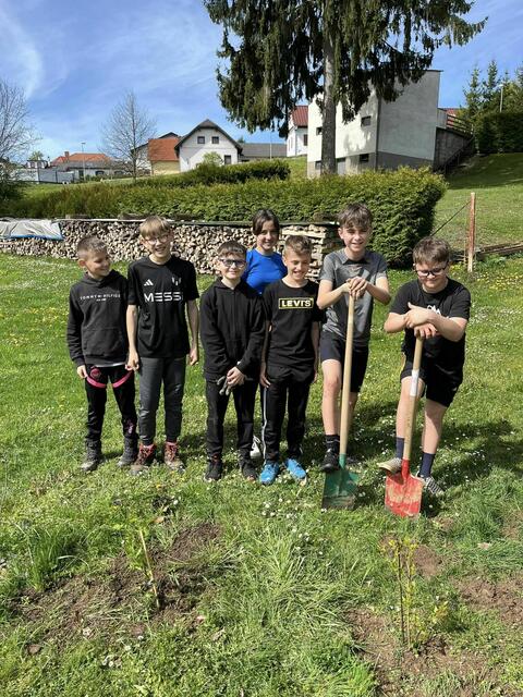 Foto: MS Kohfidisch