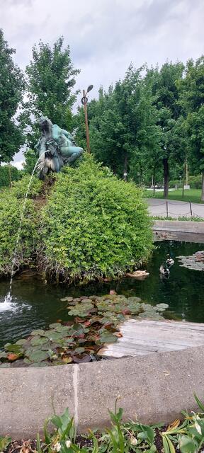 Springbrunnen im Volksgarten - die Enten wissen, was gut ist :). | Foto: Zuzana Kobesova 2024