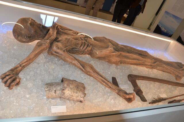Die Gletschermumie Ötzi steht ab sofort im Mittelpunkt der Sonderausstellung des Museums Murtal. Mehr Nachrichten aus der Region gibt es hier im Überblick. | Foto: Oblak