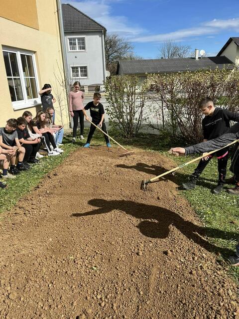 Foto: MS Kohfidisch