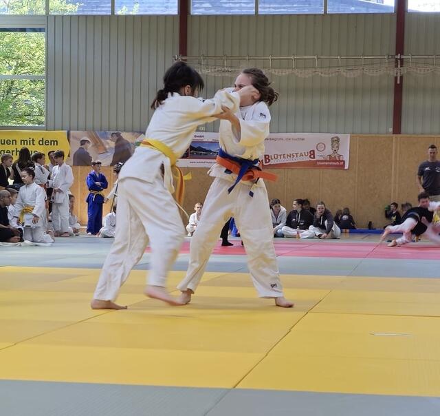Anais Huber kämpfte stark und sicherte sich am Ende die Silbermedaille. | Foto: Judo-Team Wängle