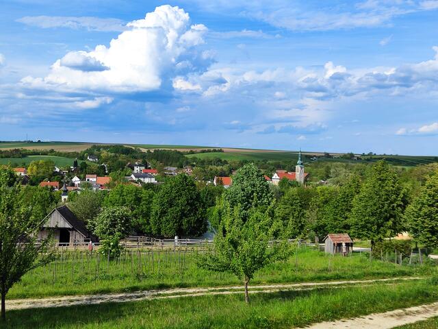 das gesamte Areal ist eingebettet zwischen weiten Feldern... | Foto: I.Wozonig