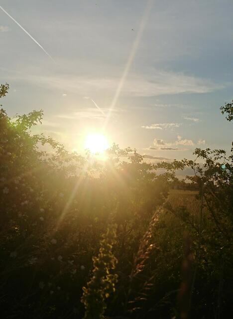 Es wird sonnig. | Foto: Rosemarie Skala