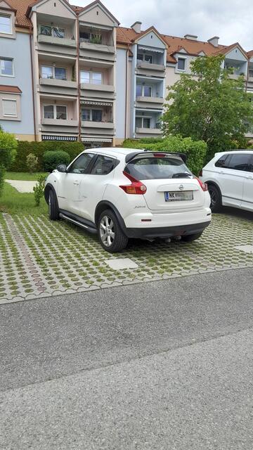 Foto: Name d. Fotografen d. Red. bekannt