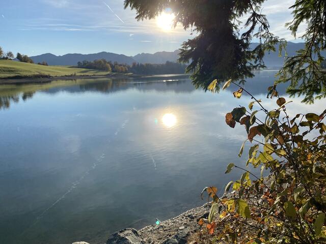 Richtig schön, der Forggensee.  | Foto: Reichel