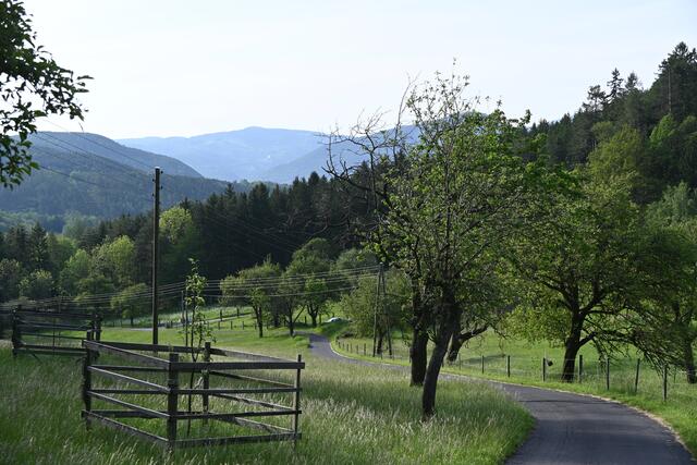 Straße herauf nach Obertal