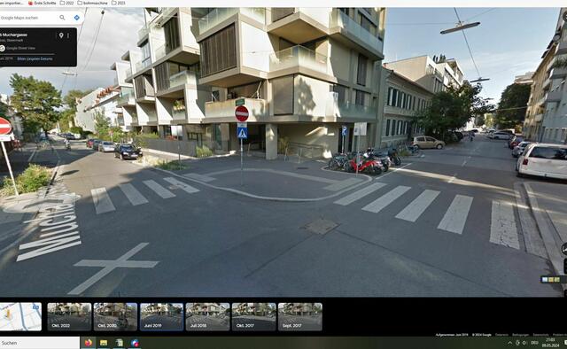 Blick in die Laimburggasse im Juli 2019. 
Hinten ist ein staatlicher Blauglockenbaum in reiner Natur ersichtlich. Daneben Brüder und Schwestern von ihm.
Bald erfolgt das erste Attentat auf diese Baumfamilie.
Bildquelle: Google Streetview