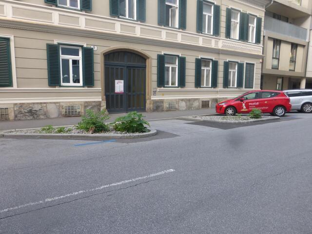 Kurz davor, nach dem fünften Umschneiden, bevor die letzten Reste der Bäume von einem Bagger ausgegraben wurden...