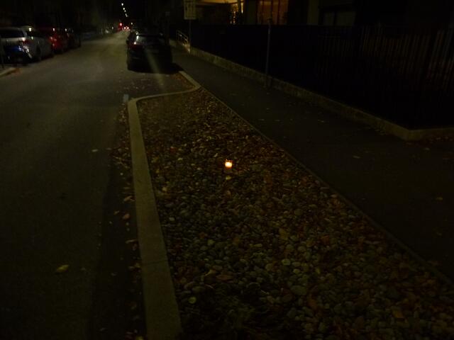 Andenken an den Corona-Birnenbaum, der im März 2020 gepflanzt wurde und im November 2023 von der Ökostadt Graz wieder entfernt wurde...