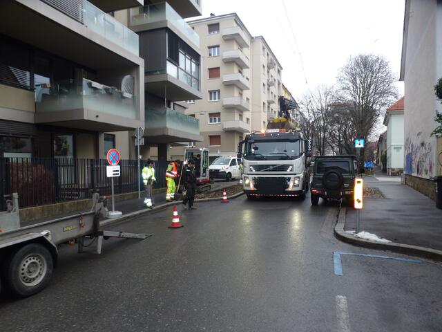 Am 14. Dezember 2023 wurde dann der zweite Coronabaum, ein Apfelbaum, entfernt...