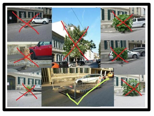 Bildzusammenschnitt eines Beitrages aus dem Jahr 2022
https://www.meinbezirk.at/graz/c-regionauten-community/graz-geidorf-problembaum-erfolgreich-entfernt_a5777104#gallery=null