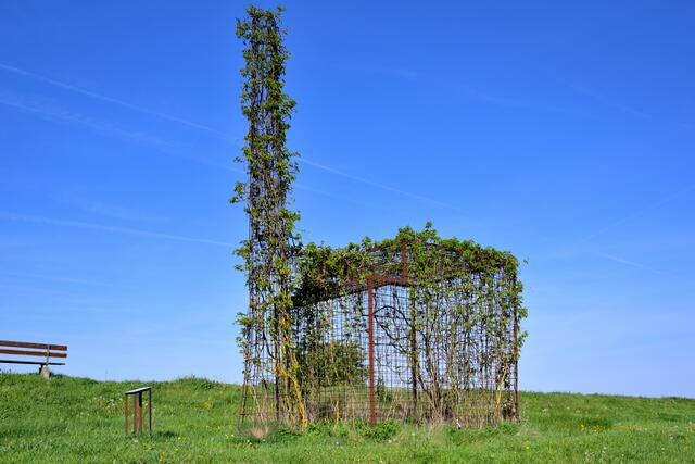 Foto: Hans-Peter Kriener