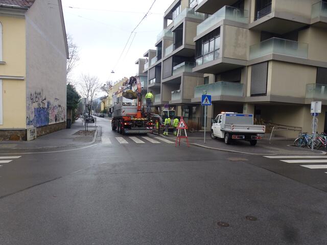 Am 14. Dezember 2023 wurde dann der zweite Coronabaum, ein Apfelbaum, entfernt...