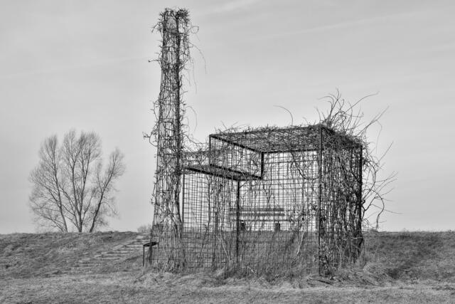 Foto: Hans-Peter Kriener