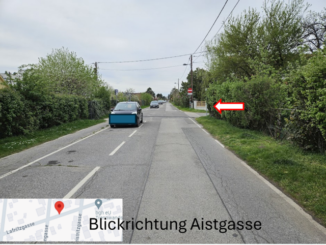 Foto: Werner Wiedermann