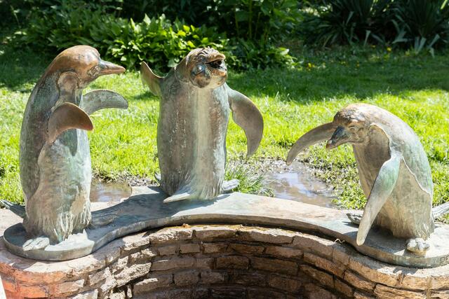 Foto: René Brunhölzl/RMW