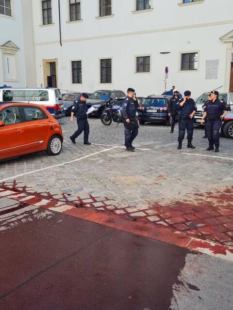In Österreich kam es diese Woche zu einer versuchten Farbattacke auf Bundesministerin Karoline Edtstadler (ÖVP).   | Foto: Mena-Watch