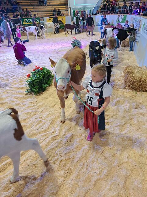 Bei der Vorführung war höchste Konzentration gefragt. | Foto: Barbara Schönleitner 