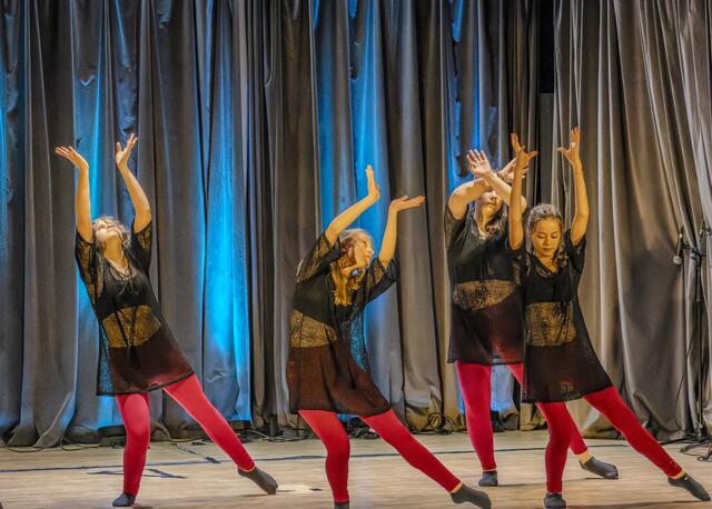 Absolut gelungen präsentierte sich die diesjährige Open Stage des Vereins tanzland in Inzersdorf. | Foto: Fritz Meran