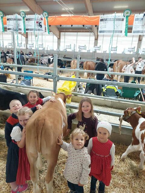 Der Dörfler Fanclub | Foto: Barbara Schönleitner 
