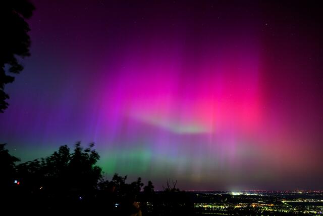Die Aurora Borealis leuchteten pink-grün über Wien. | Foto: MAX SLOVENCIK / APA / picturedesk.com 