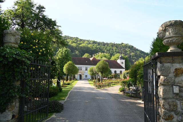 Pfarre und Rosengarten Pitten