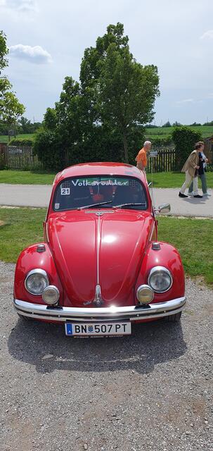 Foto: Philipp Steinriegler