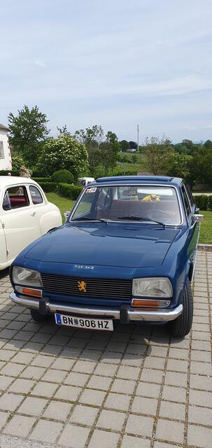 Foto: Philipp Steinriegler