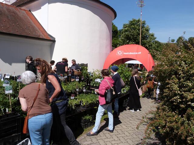 Voller Vorfreude warteten die BesucherInnen auf ihre neuen Jungpflanzen in den verschiedensten Sorten. 