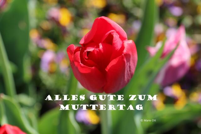 Gedichte Muttertag
