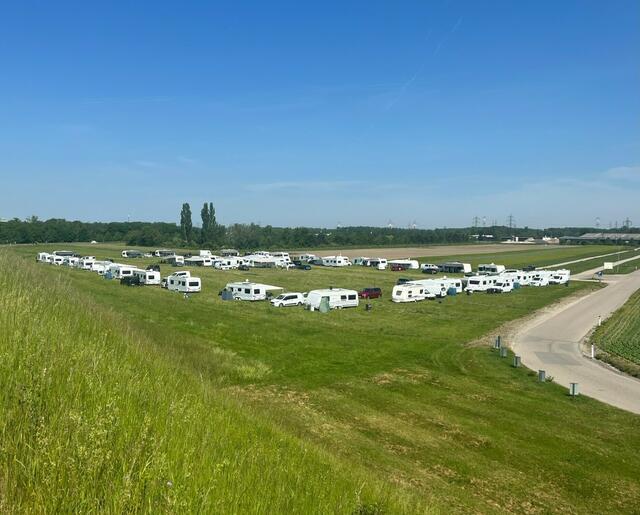 Sorgt erneut für Politdebatte: Das Wagencamp der Roma/Sinti-Gruppe. | Foto: Bors
