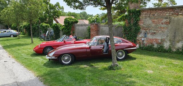 Elegant und selten: vorne: Jaguar E-Type, dahinter: Alfa | Foto: Philipp Steinriegler