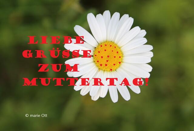Gedicht zum Muttertag