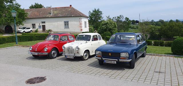 Foto: Philipp Steinriegler