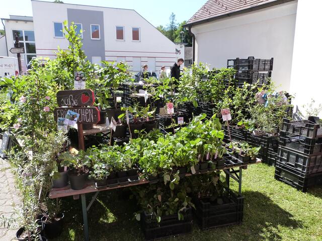 Von süßen Früchten bis hin zu scharfen Pepperonis. 