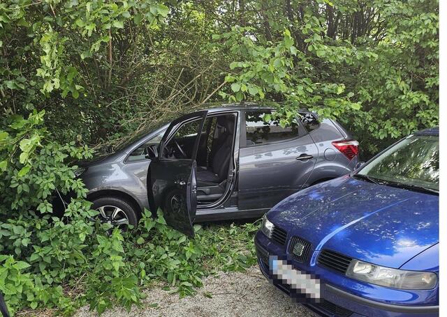 Der PKW-Lenker kam aufgrund eines internistischen Notfalls von der Fahrbahn ab. | Foto: DOKU-NÖ