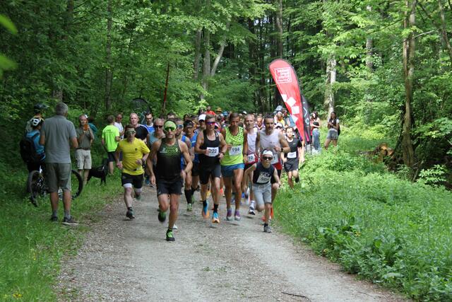 Die Hausruck Challenge – ein Lauf für Naturgenießer. | Foto: LC MKW Hausruck