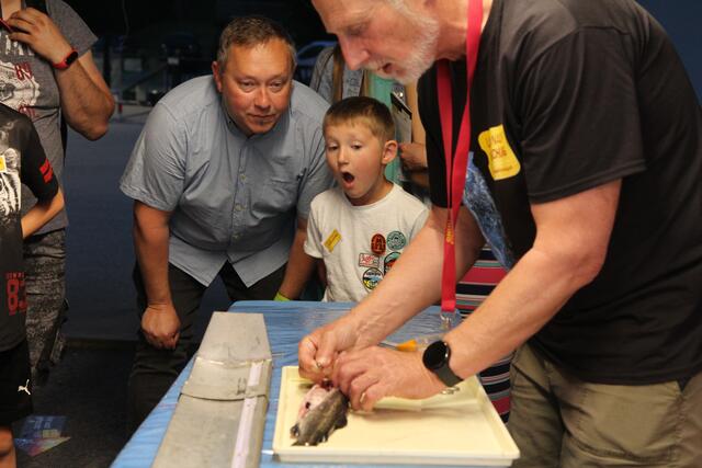 Am Forschungsinstitut für Limnologie in Mondsee können Besucher beim Sezieren von Fischen zusehen und mithelfen.  | Foto: Sylvia K. Wanzenböck