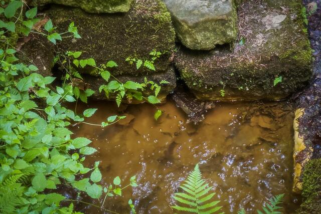 Foto: Gerald Lang Photography