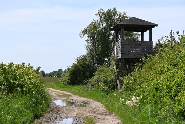 Beobachtungsturm