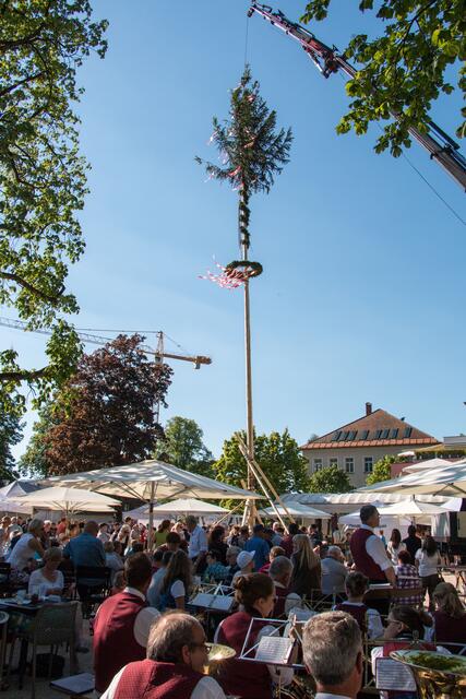 Maibaumfest 2024 | Foto: Copyright Stadt Hohenems