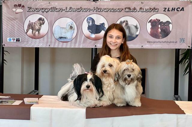 Foto: Hundesalon Wauzini