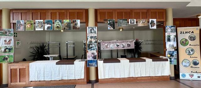 Foto: Hundesalon Wauzini