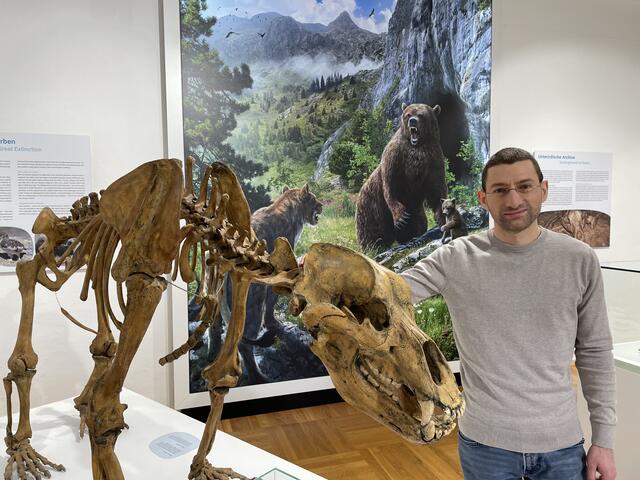 Museumsleiter Sebastian Krutter führt durch die Ausstellung: Zu sehen ist das Skelett eines Höhlenbären. | Foto: Thomas Fuchs