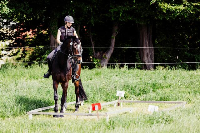 Erfolgreiches Orientierungsreitturnier des Reittreff Tullnerfeld. | Foto: Lyall Gardiner