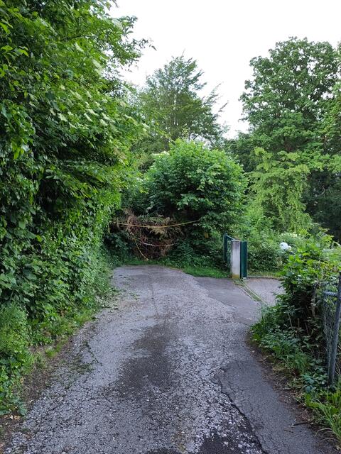 Bereits mehr als zwei Jahre ist der beliebte Wanderweg – der Brandstetterweg – am Pöstlingberg gesperrt. Trotz bestehendem Wegerecht hat der Grundeigentümer den Durchgang geschlossen. Das Bild stammt vom Juni 2023. | Foto: privat