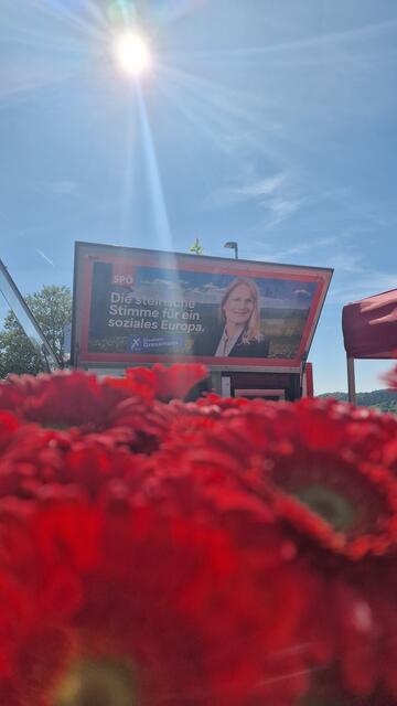 Foto: Sandra Lichtenegger
