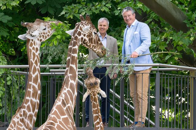Stephan Hering-Hagenbeck, Direktor des Tiergarten Schönbrunn, und Andreas Gruber, Vorstand der Österreichischen Bundesforste. | Foto: Daniel Zupanc